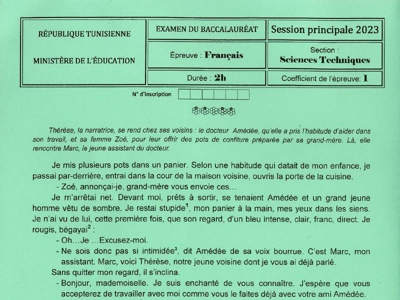Baccalauréat 2023 : Examen Français Sciences Techniques