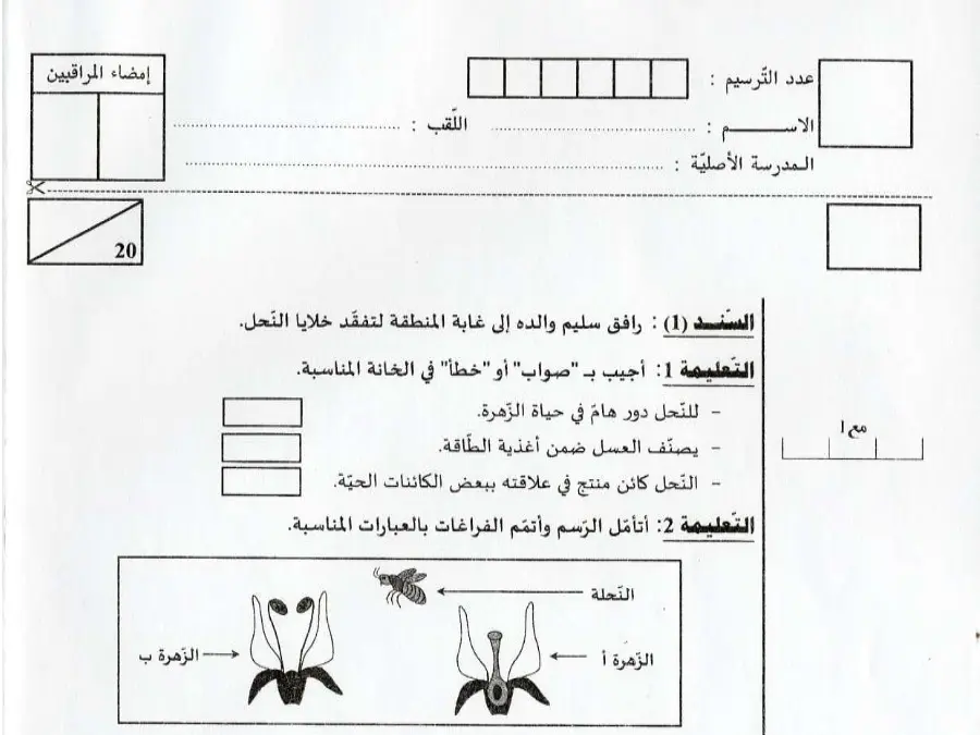 اختبار مناظرة الإلتحاق بالمدارس الإعدادية النموذجية الخاص بالسنة السادسة ابتدائي – السابع