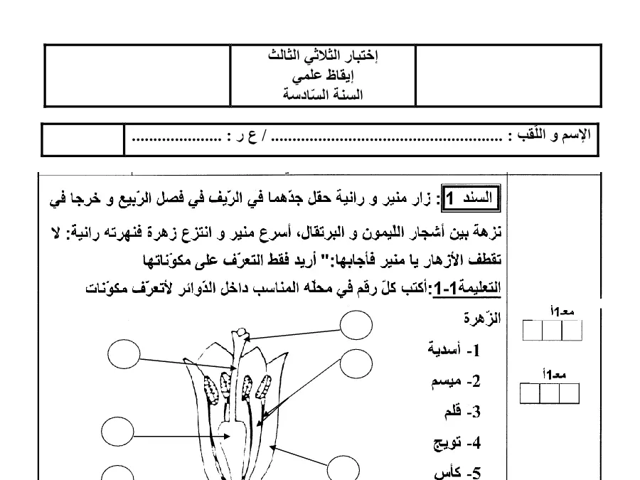 نموذج 1: اختبار الثلاثي الثالث الإيقاظ العلمي السنة السادسة ابتدائي