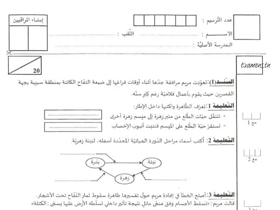 فرض الثلاثي الثالث الإيقاظ العلمي الخاص بالسنة السادسة ابتدائي – السادس