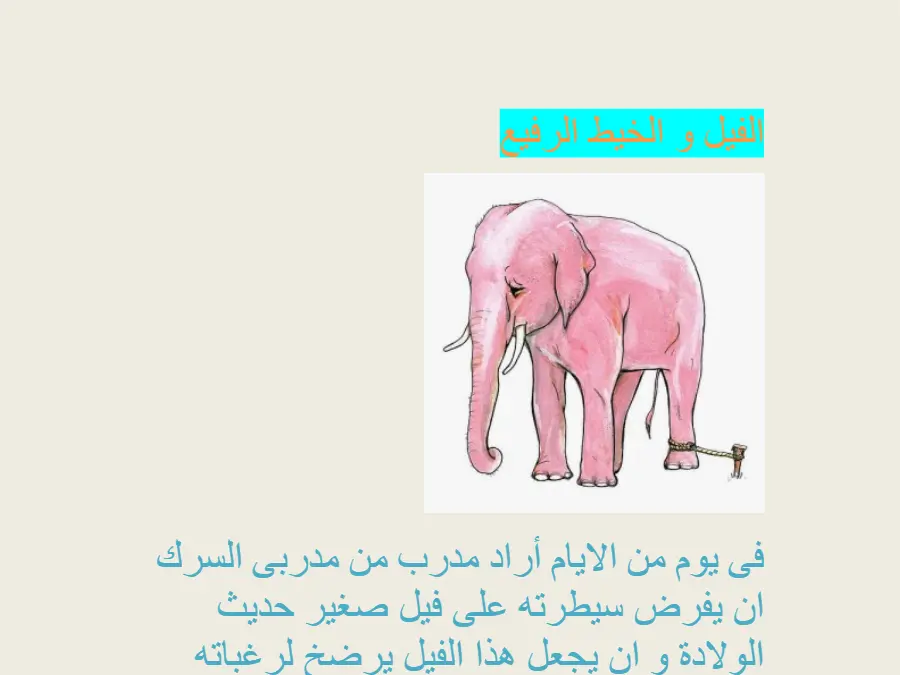 نموذج 8: اختبار ملفات و مستندات تعليمية متنوعة القسم التحضيري