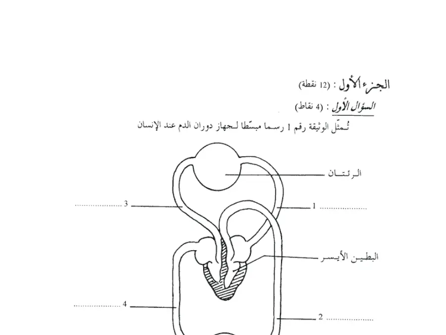 السنة التاسعة أساسي: موضوع امتحان مواضيع شهادة ختم التعليم الأساسي في العـلوم الطّبيعــة (الموضوع الأول)
