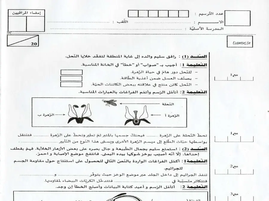 نموذج امتحان VIP الخاص بالسنة السادسة ابتدائي – العاشر