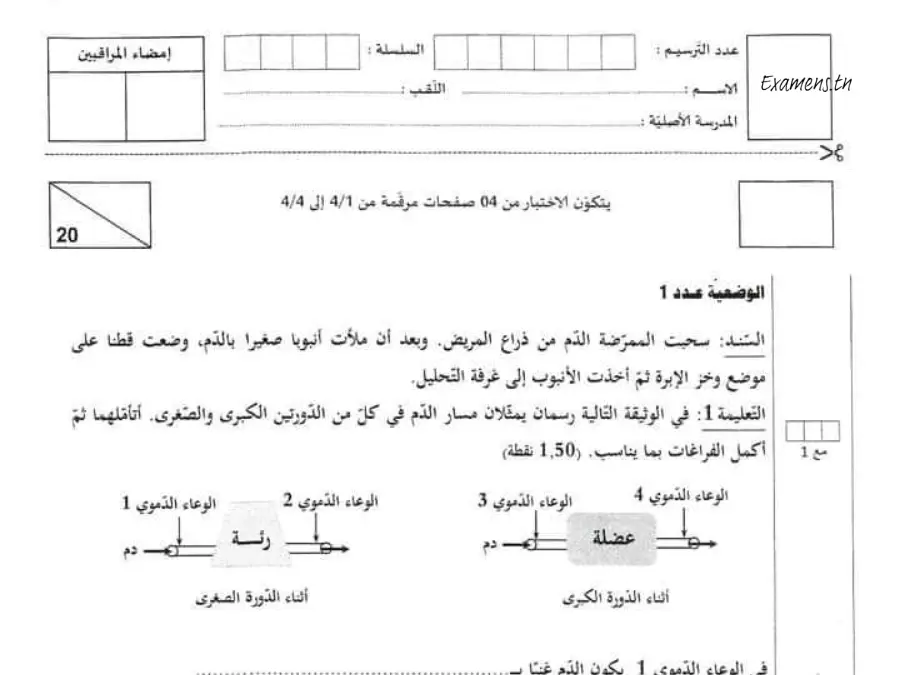 امتحان VIP لتلاميذ السنة السادسة ابتدائي رقم 5