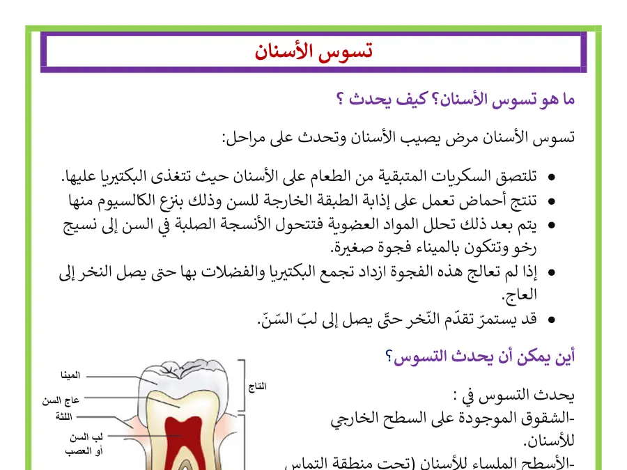 بحث مدرسي الإيقاظ العلمي السنة الأولى ابتدائي – نموذج 11