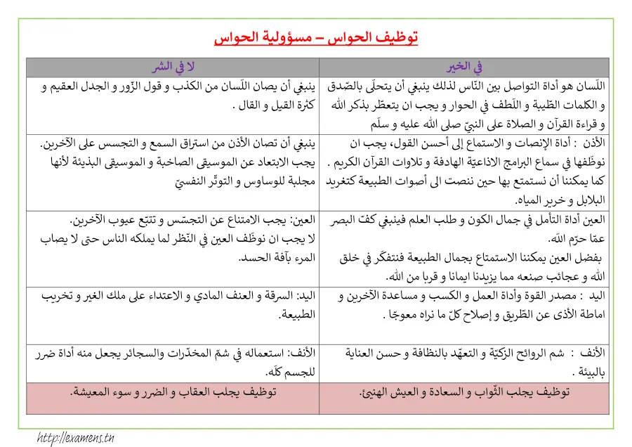 عرض الإيقاظ العلمي السنة الأولى ابتدائي – نموذج 13