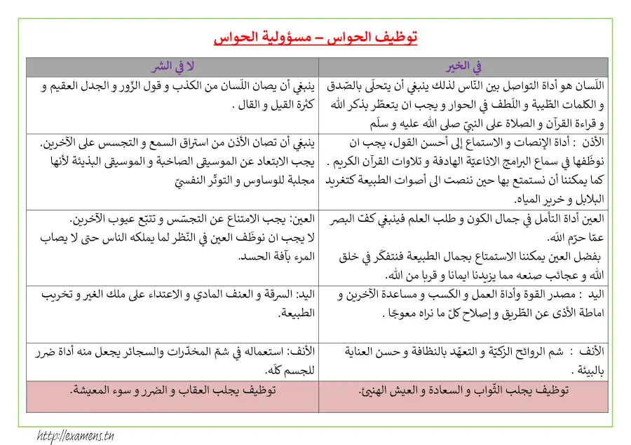 نموذج 16: بحث الإيقاظ العلمي السنة الأولى ابتدائي