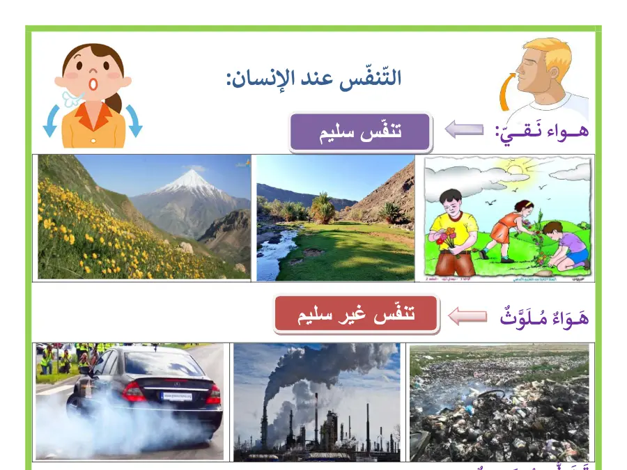 نموذج 24: بحث مدرسي الإيقاظ العلمي السنة الأولى ابتدائي