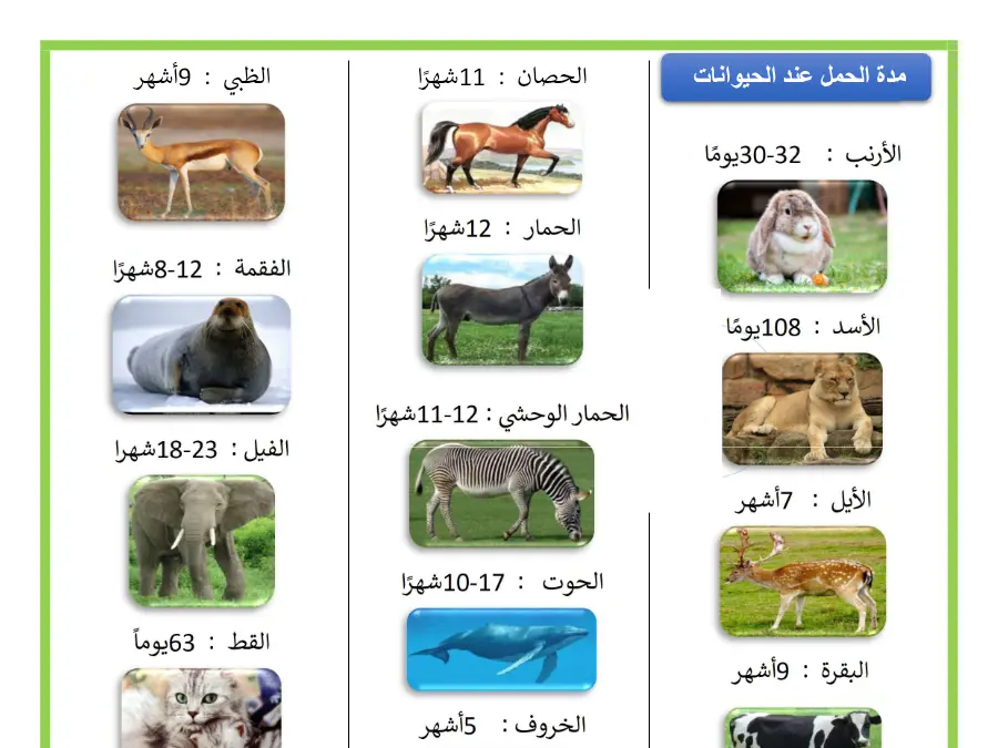 السنة الأولى ابتدائي: بحث مدرسي الإيقاظ العلمي (الموضوع الرابع)