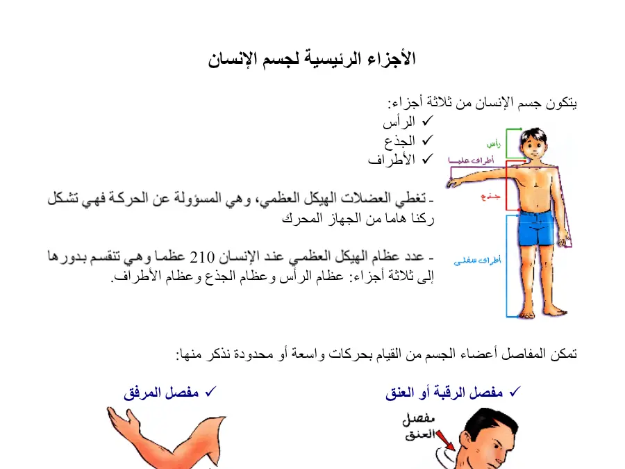 عرض في مادة الإيقاظ العلمي السنة الثانية ابتدائي عدد 11