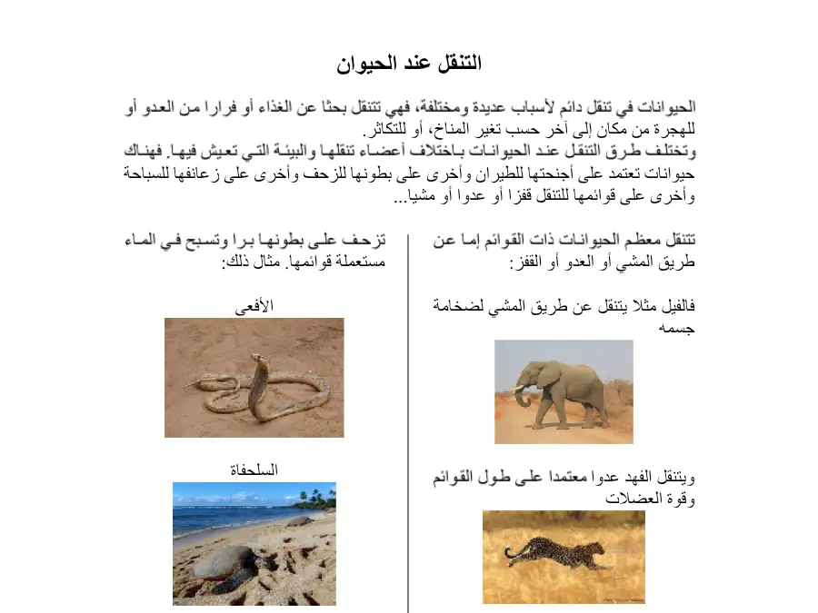 السنة الثانية ابتدائي: عرض الإيقاظ العلمي (الموضوع الرابع)
