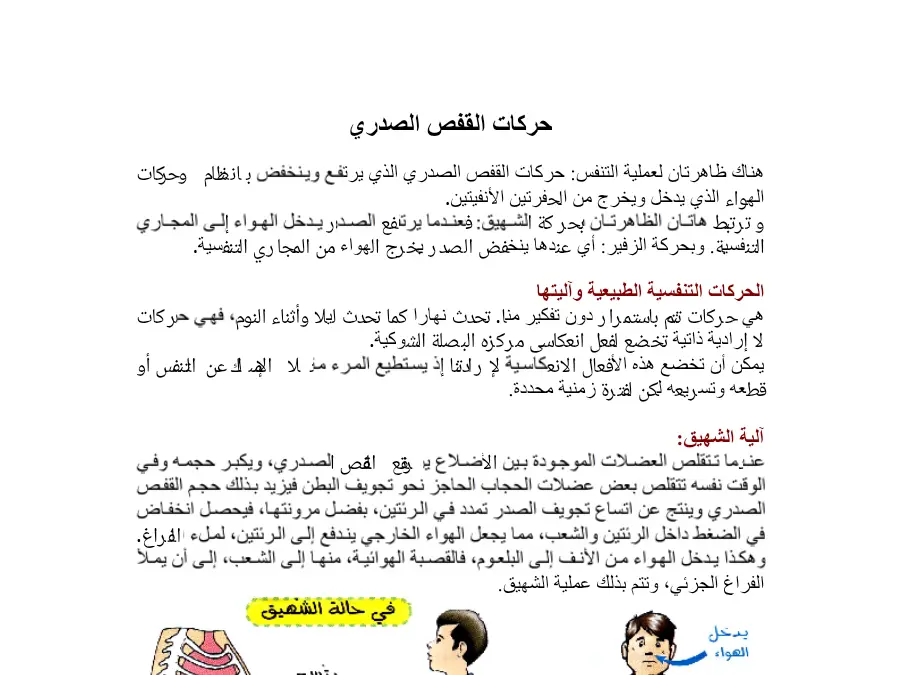 نموذج 16: بحث مدرسي الإيقاظ العلمي السنة الثالثة ابتدائي