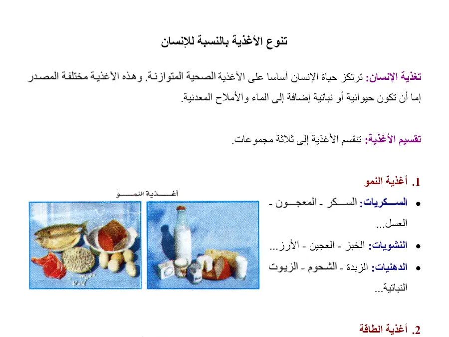 عرض الإيقاظ العلمي السنة الثالثة ابتدائي – نموذج 8
