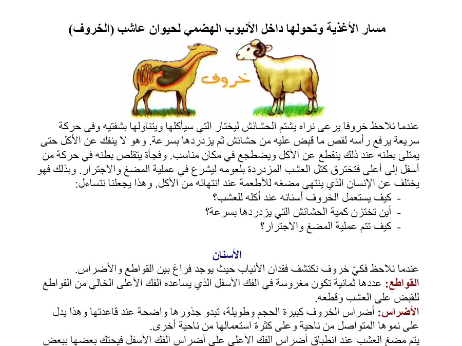 بحث الإيقاظ العلمي الخاص بالسنة الرابعة ابتدائي – 14