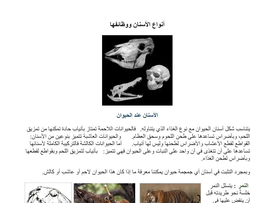 نموذج 29: بحث الإيقاظ العلمي السنة الرابعة ابتدائي