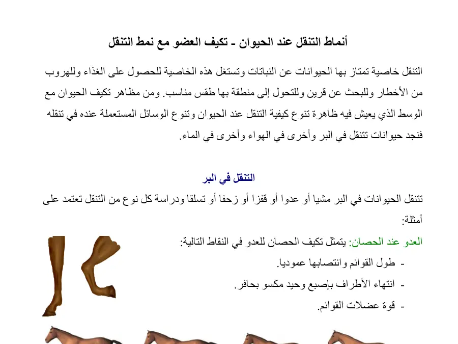 عرض الإيقاظ العلمي السنة الرابعة ابتدائي – النموذج 30