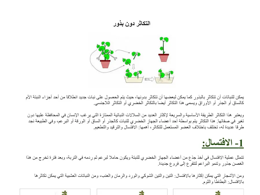 عرض الإيقاظ العلمي الخاص بالسنة الرابعة ابتدائي – 35