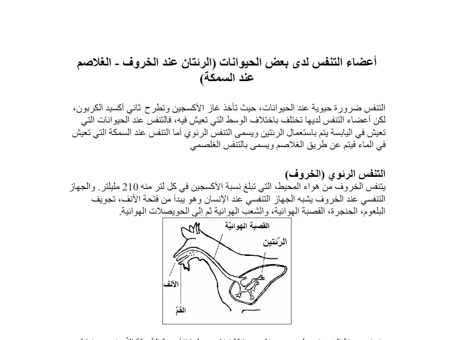 بحث الإيقاظ العلمي السنة الرابعة ابتدائي – النموذج 37