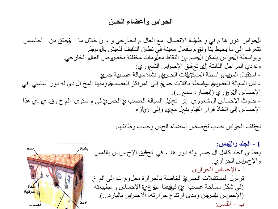السنة الرابعة ابتدائي: بحث مدرسي الإيقاظ العلمي (الموضوع الرابع)