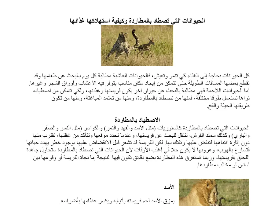 الإيقاظ العلمي – بحث مدرسي لتلاميذ السنة الخامسة ابتدائي رقم 11