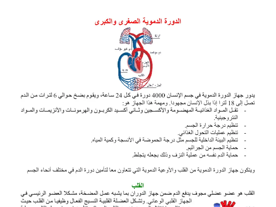 عرض الإيقاظ العلمي السنة الخامسة ابتدائي – نموذج 13