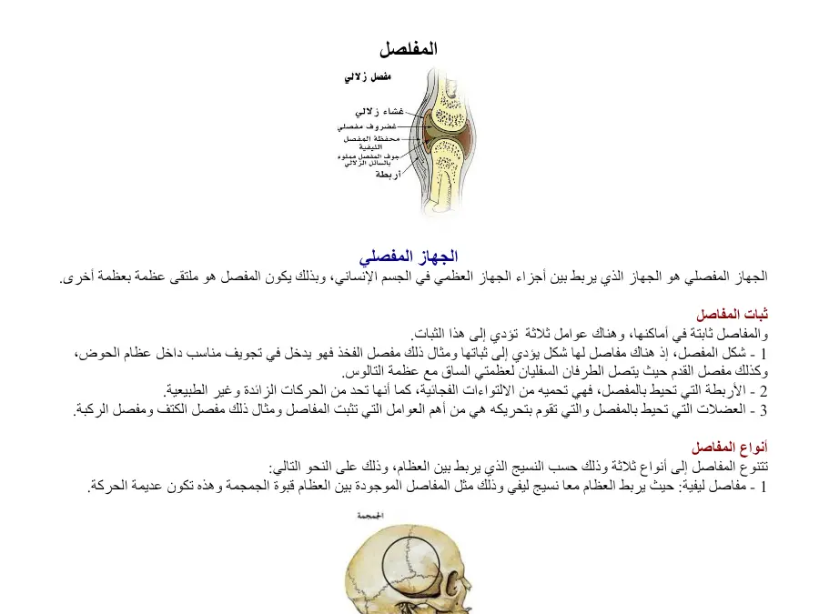بحث الإيقاظ العلمي السنة الخامسة ابتدائي – نموذج 15