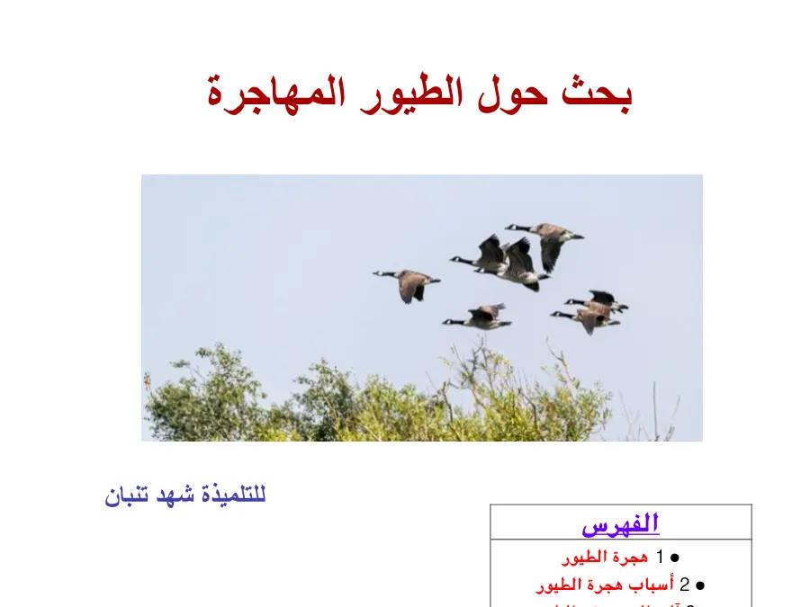 نموذج 31: عرض الإيقاظ العلمي السنة الخامسة ابتدائي