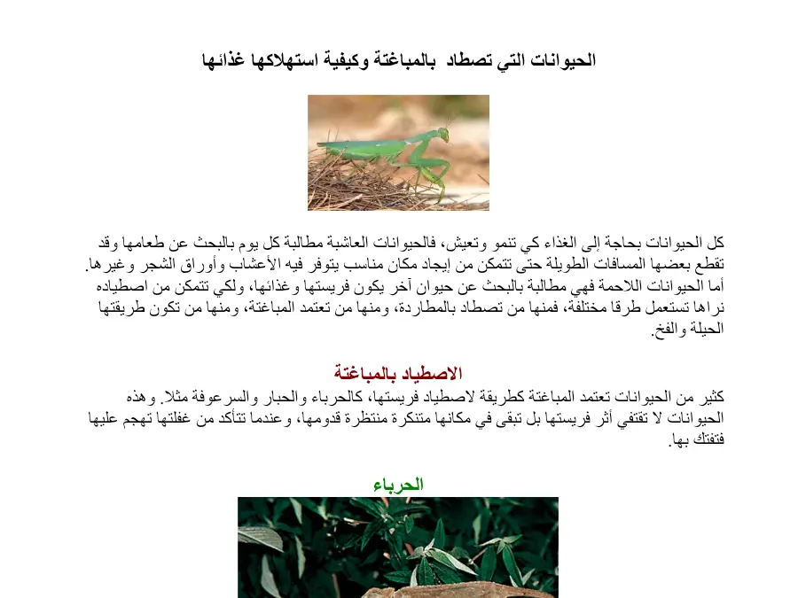 بحث مدرسي الإيقاظ العلمي السنة الخامسة ابتدائي – نموذج 46