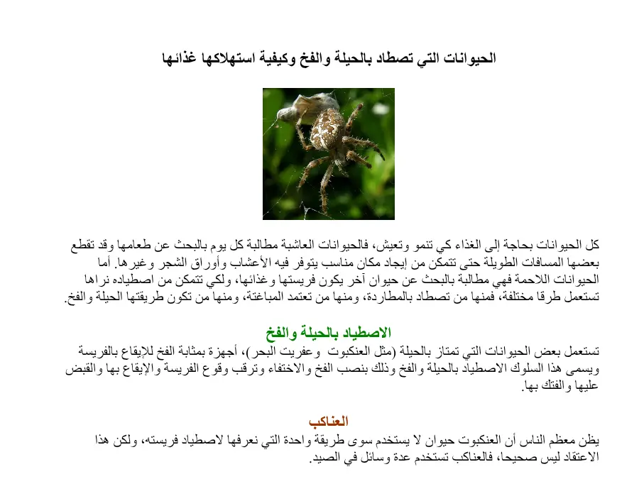 عرض الإيقاظ العلمي السنة الخامسة ابتدائي – نموذج 47