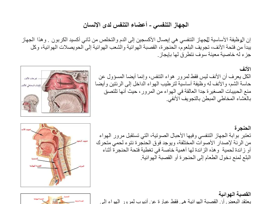 عرض الإيقاظ العلمي السنة الخامسة ابتدائي: لھ خاصیة معینة سوف نتطرق لھا بإیجاز