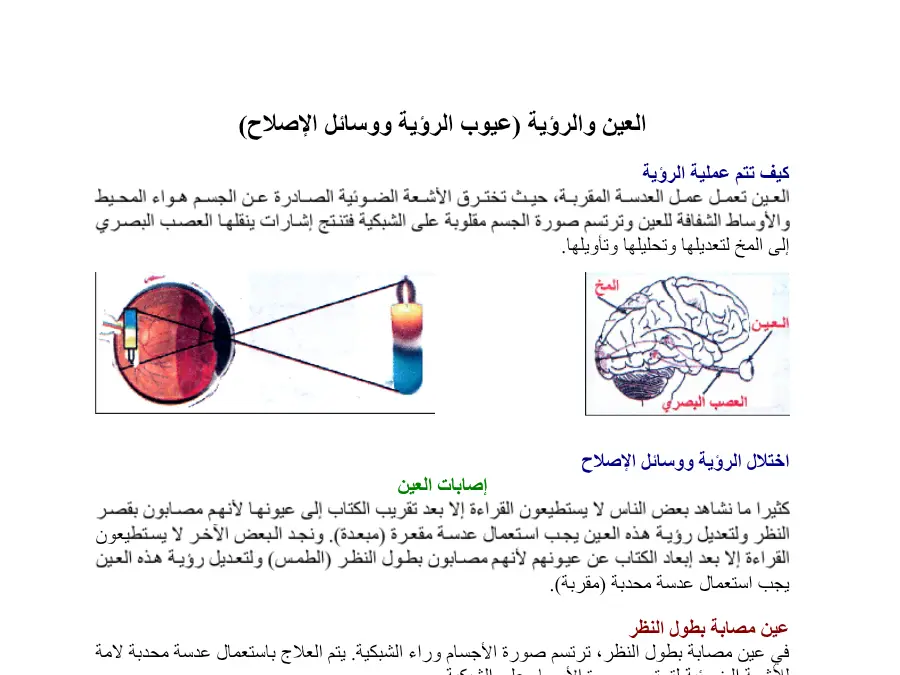 عرض في مادة الإيقاظ العلمي السنة السادسة ابتدائي عدد 12