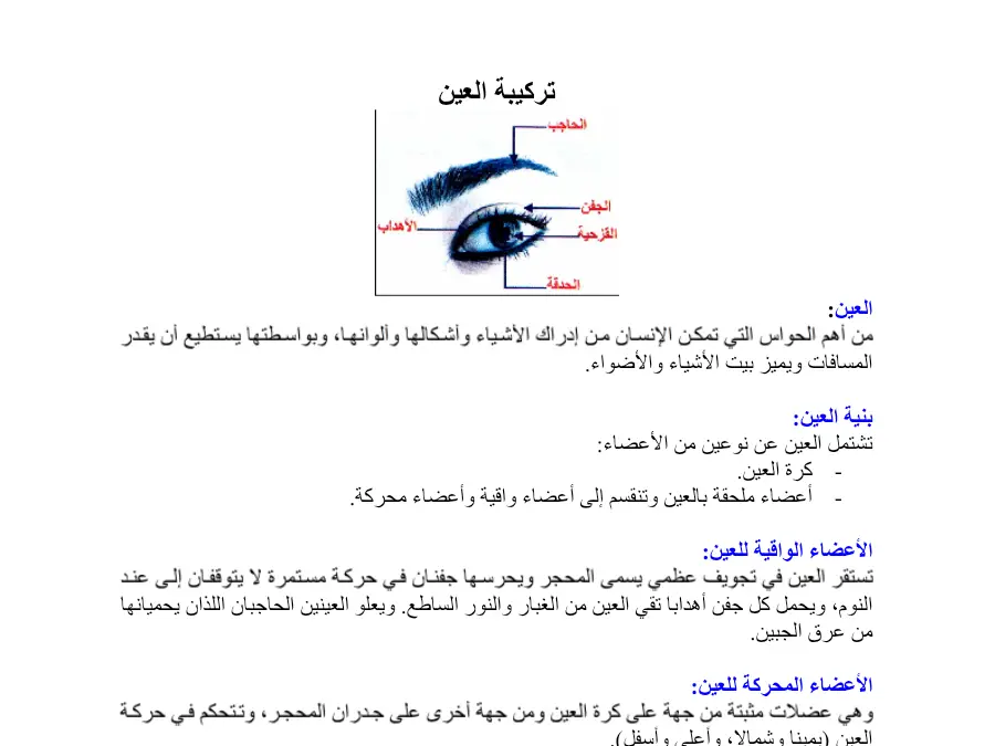 عرض الإيقاظ العلمي السنة السادسة ابتدائي – نموذج 21