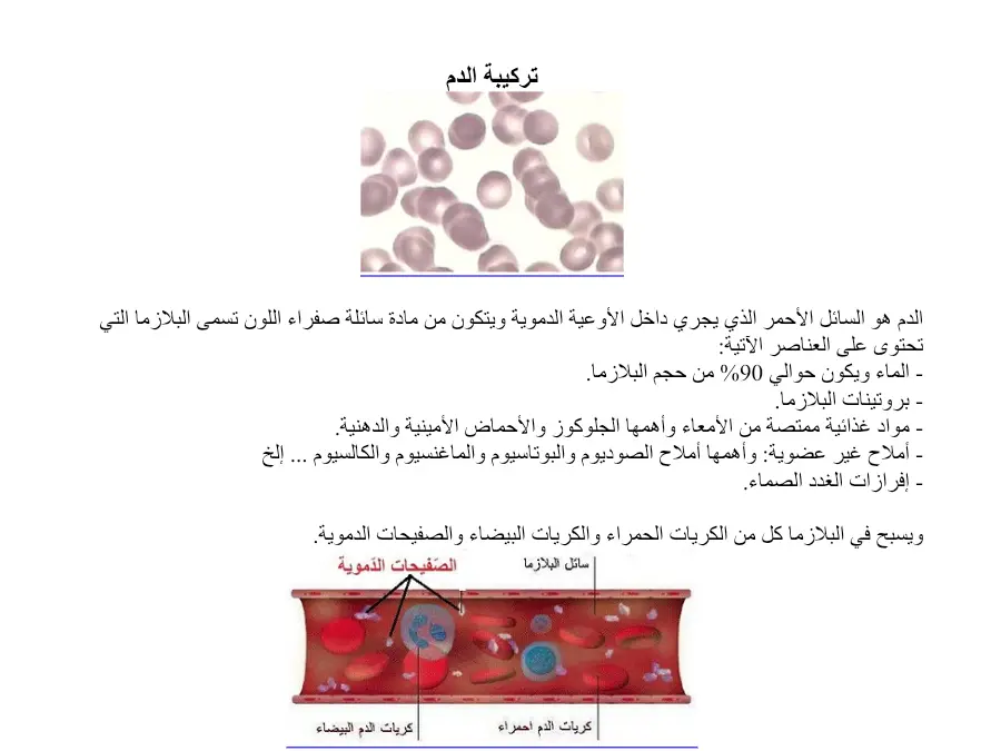 عرض الإيقاظ العلمي السنة السادسة ابتدائي – النموذج 30