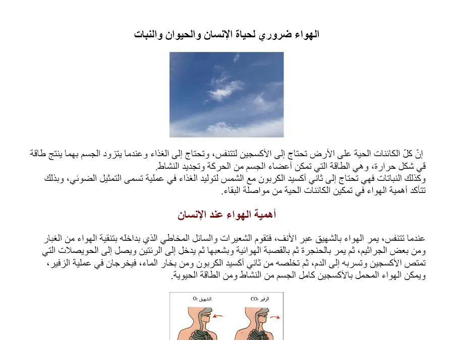 نموذج 35: بحث مدرسي الإيقاظ العلمي السنة السادسة ابتدائي