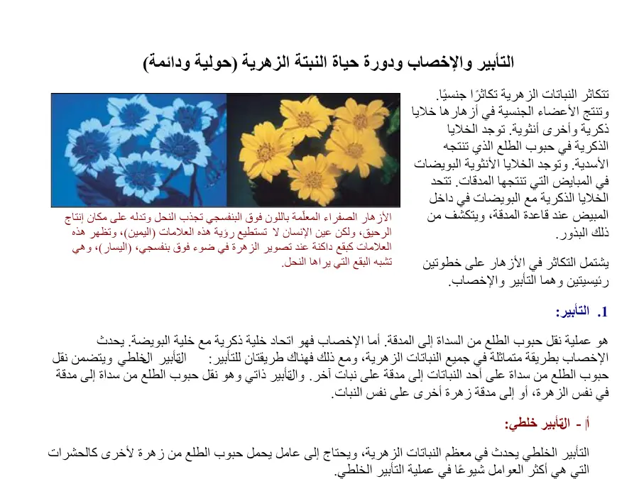 عرض الإيقاظ العلمي الخاص بالسنة السادسة ابتدائي – الرابع