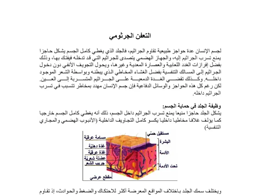 بحث مدرسي الإيقاظ العلمي السنة السادسة ابتدائي – النموذج 45