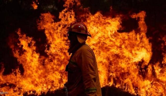 بعد 40 عاما من العمل.. ‘الشجرة الخادعة’ تقتل رجل إطفاء أسترالي