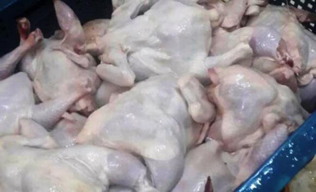 المرناقية:  حجز 130 كلغ من لحوم الدجاج غير صالحة للإستهلاك